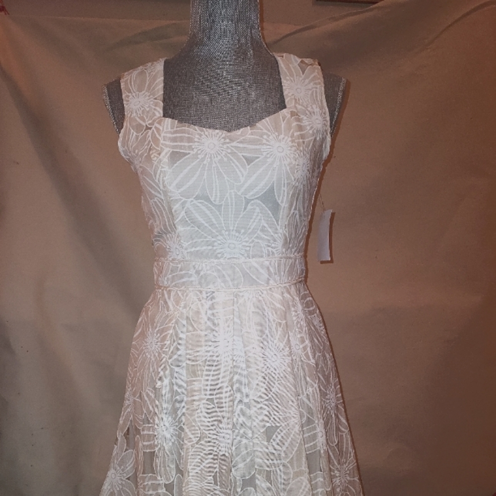 Sheer Cutout Print Dress